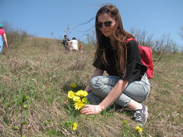 Горецвіт весняний в урочищі Червоне